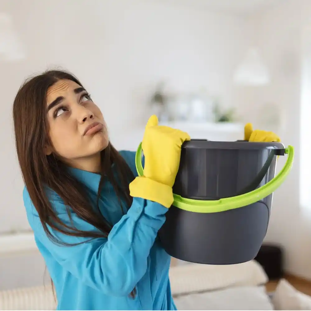 water damage restoration service Fairview